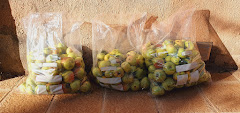Bar Cantina de Jaramillo