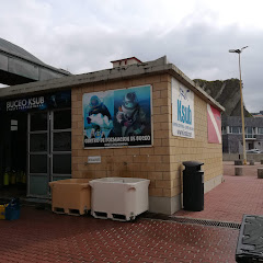 Ketarri