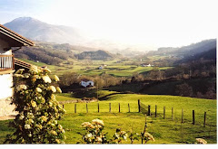 Pyrenean Experience