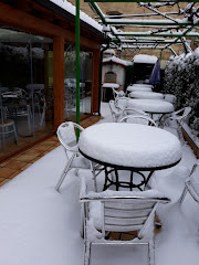 Restaurante Los Gemelos
