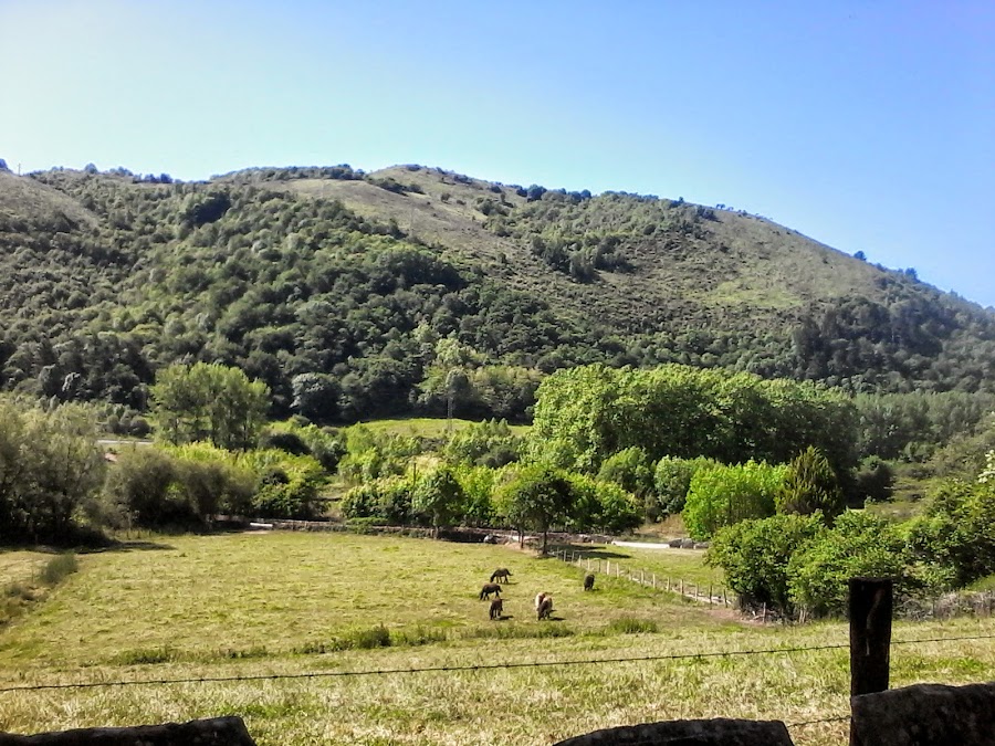 Albergue Bertiz Aterpetxea