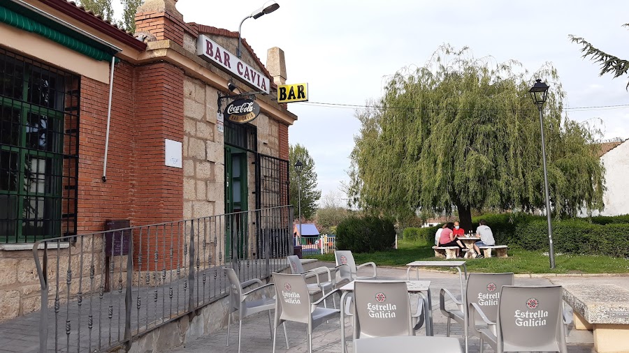 Bar Cavia