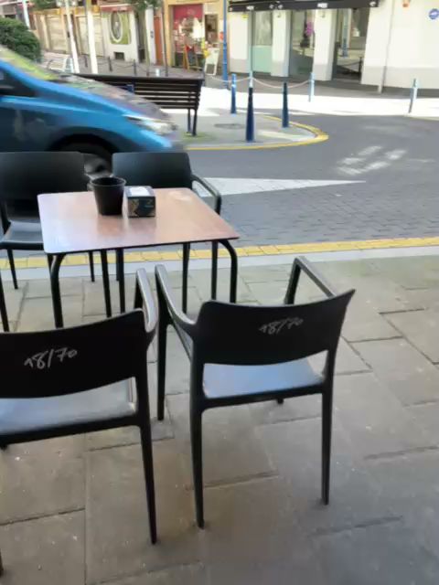 Bar viñas