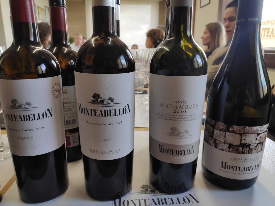 Bodegas y Viñedos Monteabellón S.L. - Ribera del Duero