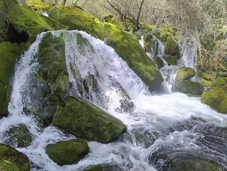 Nacimiento del Río Cadagua (Burgos) (Galarraga)