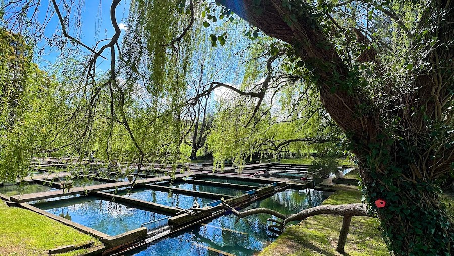 Parque de Pesca y Granja de Aves