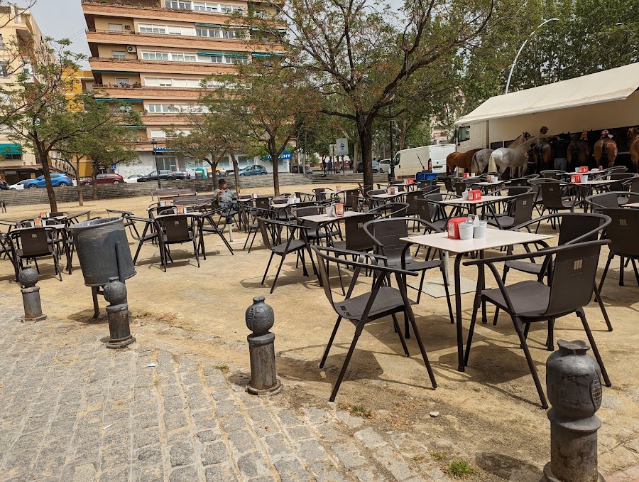 PLAZA TAPAS