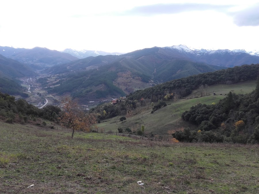Potes