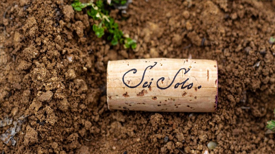 SEI SOLO BODEGAS Y VIÑEDOS S.L. - Ribera del Duero