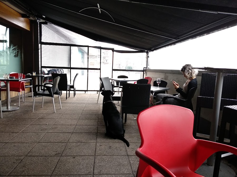 Xelai Taberna
