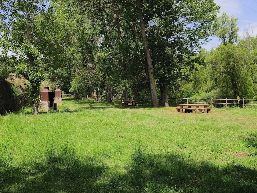 Zona Picnic BBQ